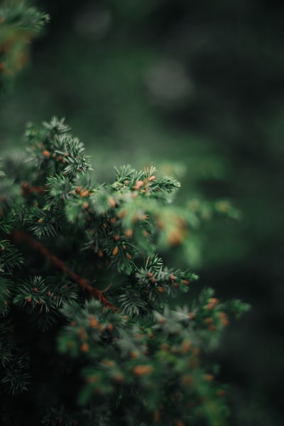 图聚科技
